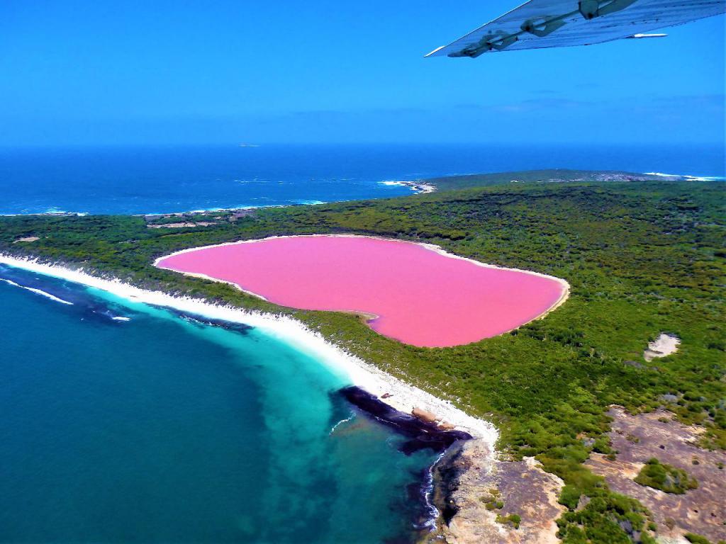 Озеро Ретба - розовое чудо Сенегала? | Мир вокруг нас | фотодетки.рф